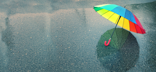 Übersiedlung bei jeder Wetterlage